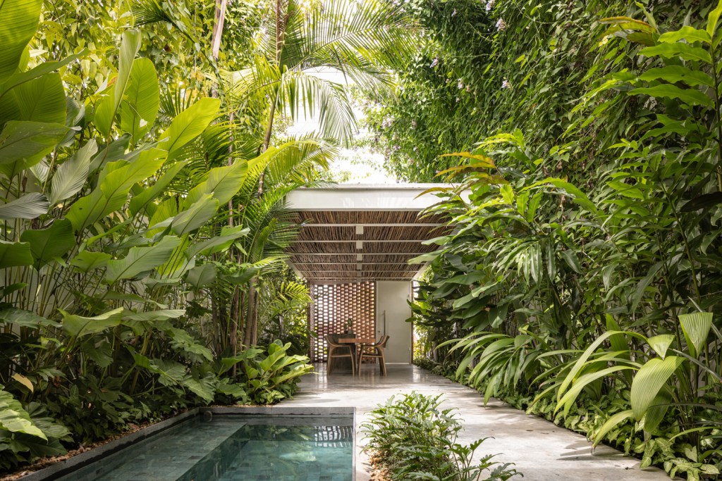 Em primeiro plano vemos a piscina, ladeada por plantas tropicais e, ao fundo, uma cozinha gourmet que também serve como lugar para reuniões.