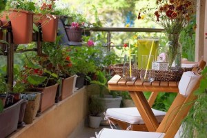 16 dicas para começar um jardim na varanda