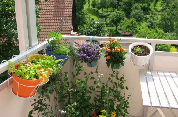 jardim-varanda-plantas-the-architectural-designs Varanda com vasos pendurados no peitoril