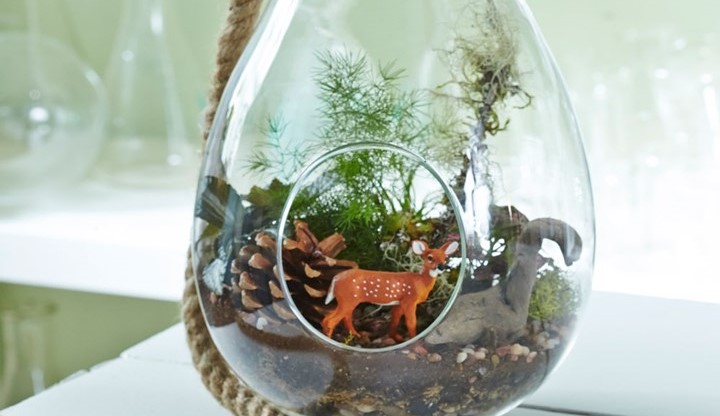 Para alegar o dia: 23 terrários que parecem um pequeno mundo mágico