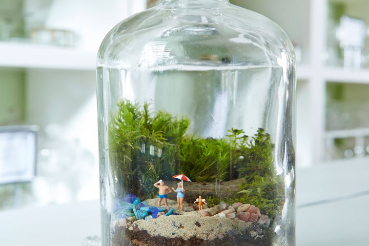 Para alegar o dia: 23 terrários que parecem um pequeno mundo mágico