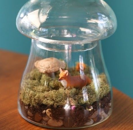 Para alegar o dia: 23 terrários que parecem um pequeno mundo mágico