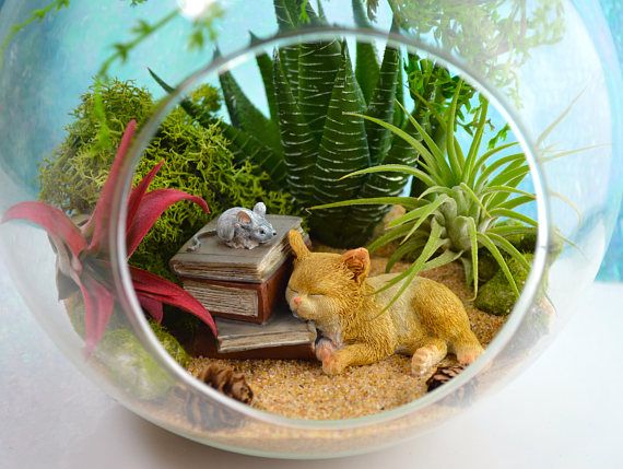 Para alegar o dia: 23 terrários que parecem um pequeno mundo mágico