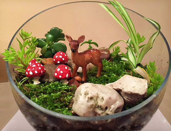 Para alegar o dia: 23 terrários que parecem um pequeno mundo mágico