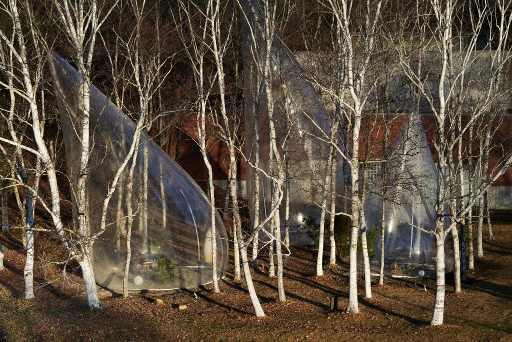Cabanas em formato de gota em floresta