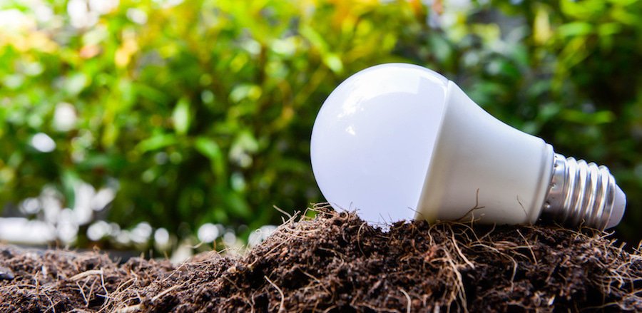 Lâmpada de led sobre terra com plantas ao fundo