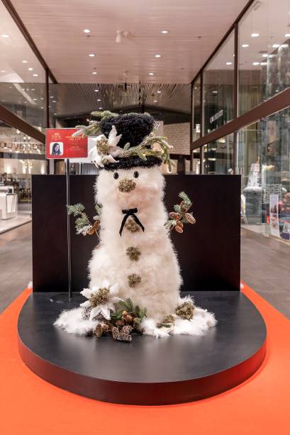 Debora Valente - Snow Care.