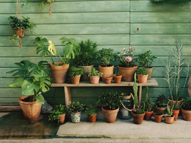 Jardim com banco em madeira; vasos em terracota alinhados