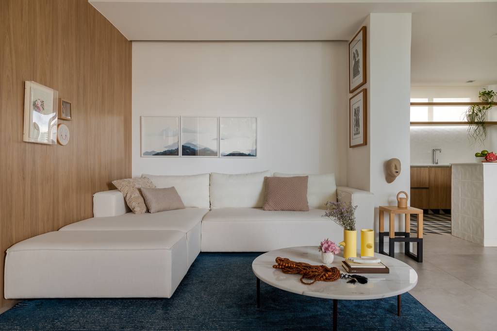 apartamento-da-decada-de-80-ganha-novo-layout-e-decor-contemporanea-gabriela-daltro (5) apartamento gabriel magalhaes decor contemporaneo sala estar sofa tapete