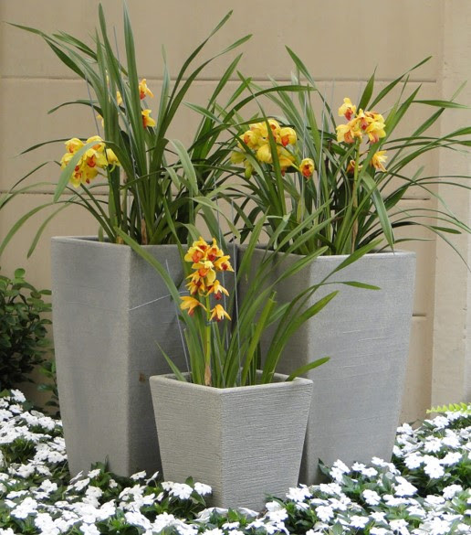 Vasart realiza workshop especial de arranjos de flores gratuito!