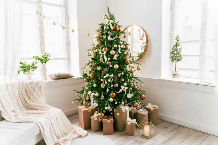 Árvore de Natal Grande: +57 Modelos para sua Decoração Natalina