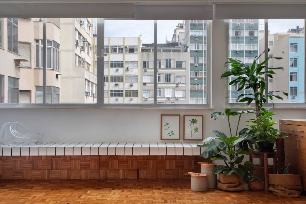 Banco de azulejos; plantas