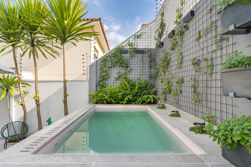 Casa lounge externo Bia Hajnal área externa jardim vertical plantas piscina plantas trepadeira