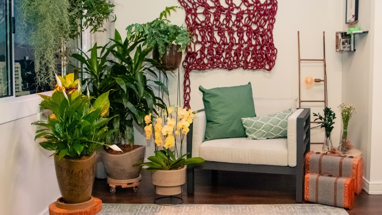Jardim; plantas; apartamento pequeno; sala de estar; tapete; macramê de parede