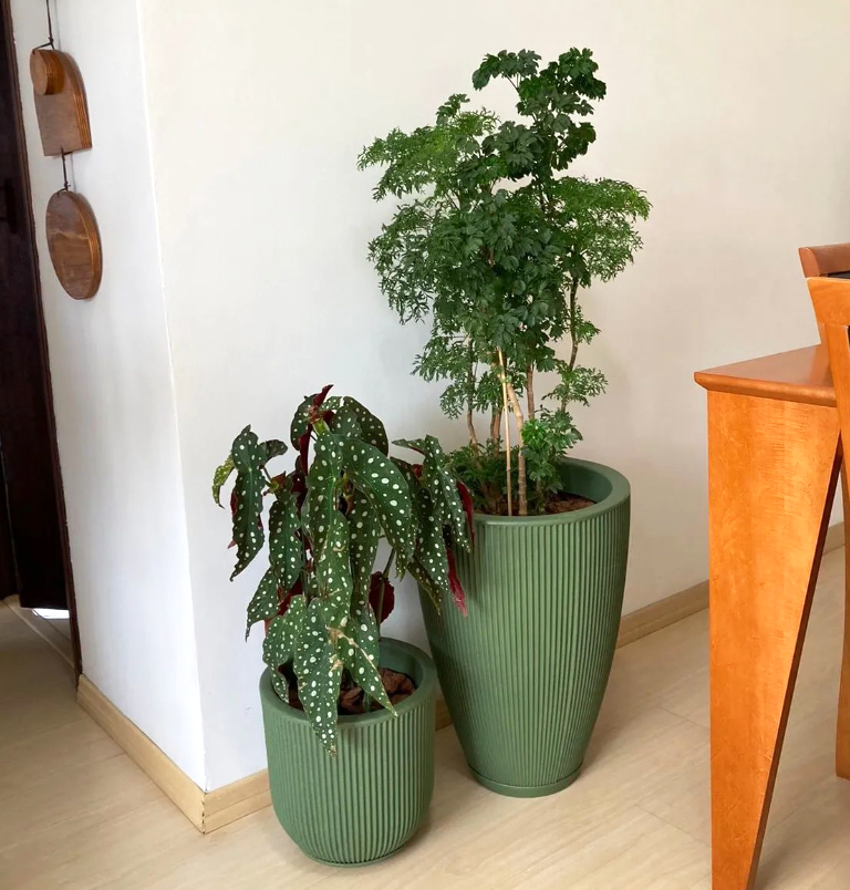 Jardim; plantas; apartamento pequeno; vasos em canto de sala