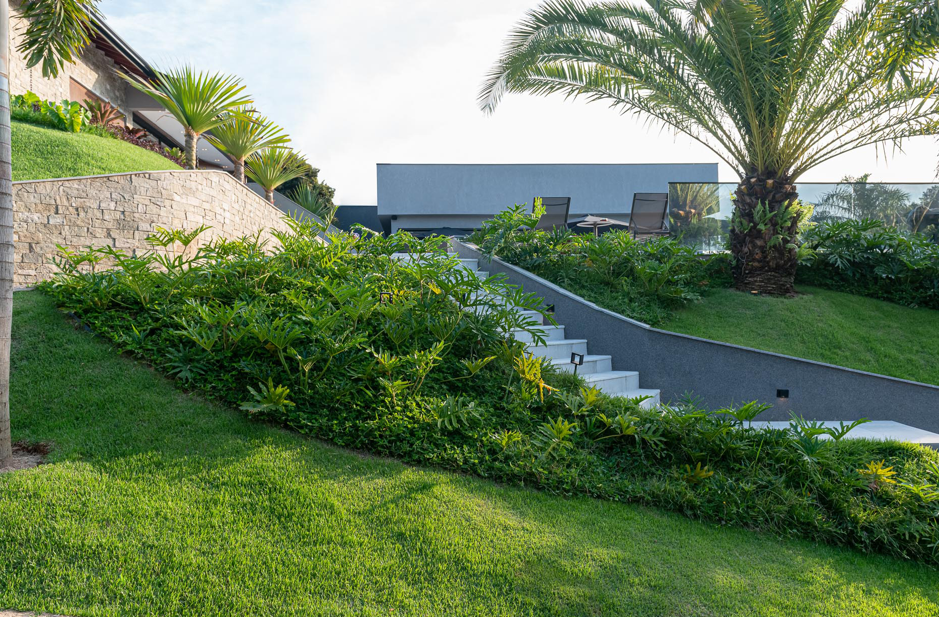 Jardim tropical de 1500 m² tem vegetação tropical com volumes diferentes