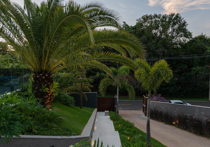 Jardim tropical de 1500 m² tem vegetação tropical com volumes diferentes