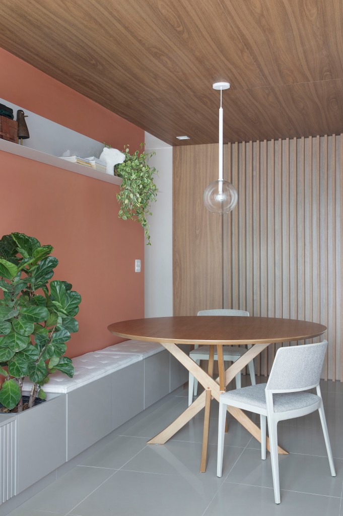 Sala de jantar com parede na cor terracota, mesa de jantar redonda de madeira e cadeiras brancas. Ficus lyrata.