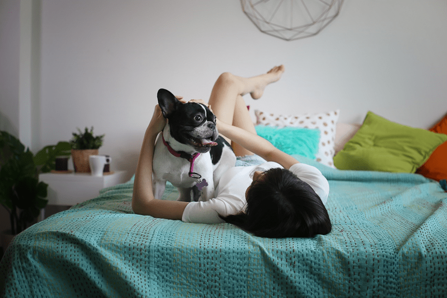 voce-dorme-com-o-pet-veja-3-cuidados-para-ter-com-a-cama-adobe-stock Dormir com pet; cuidados com cama; pet