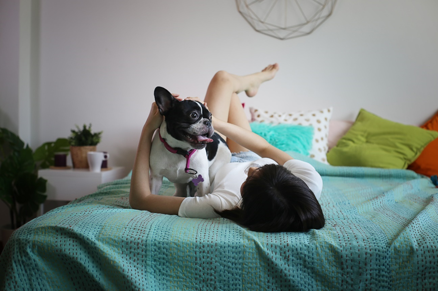 Dormir com pet; cuidados com cama; pet