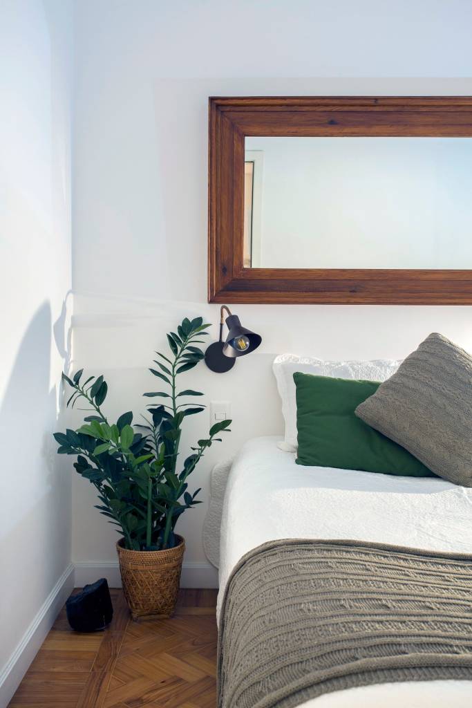 Quarto com cama de casal, planta ao lado da cama e espelho.