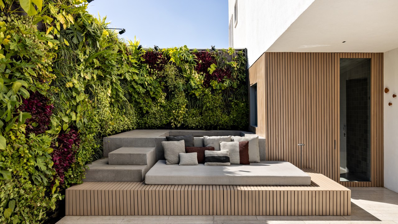 Terraço com deck de madeira e sofá; jardim vertical.