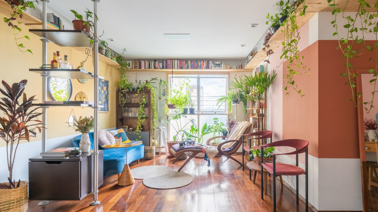 Sala de estar com piso de madeira, sofá azul, parede amarela e parede rosa e plantas suspensas.