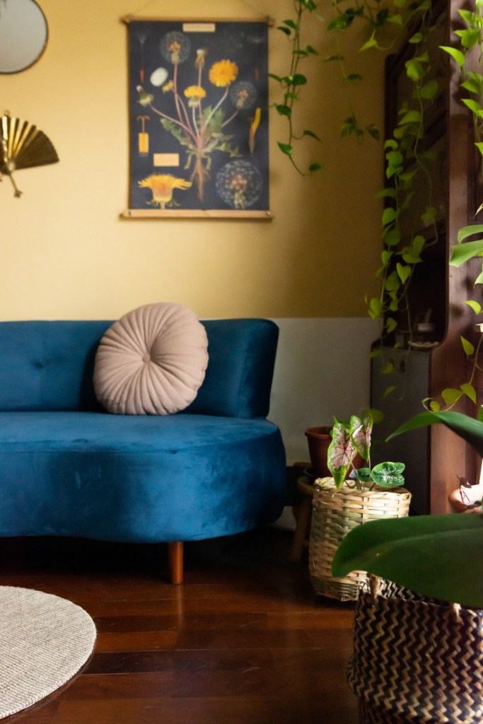 Sala de estar com meia parede amarela, sofá curvo azul e plantas suspensas.