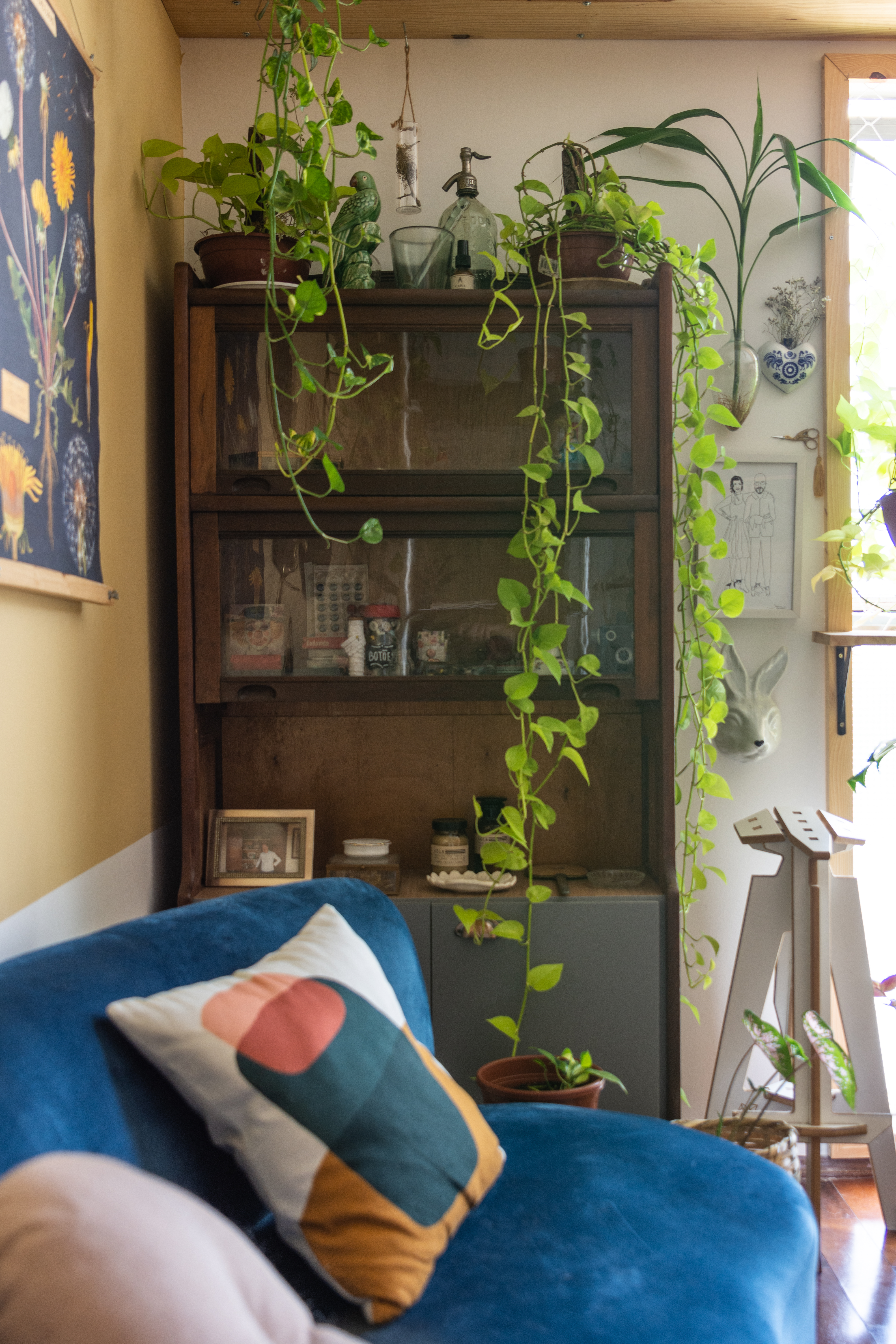 Sala de estar com estante, sofá azul e plantas suspensas.