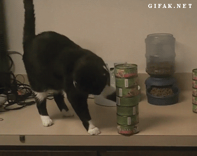 Gif de gato derrubando objetos de mesa