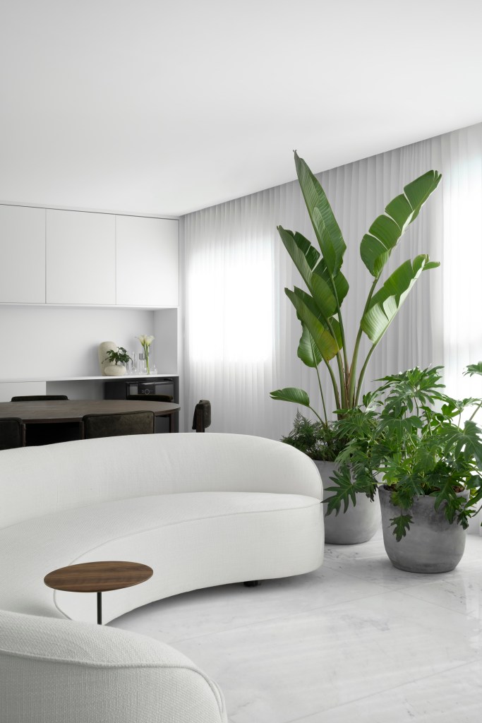 Sala de estar com sofá curvo branco e plantas.