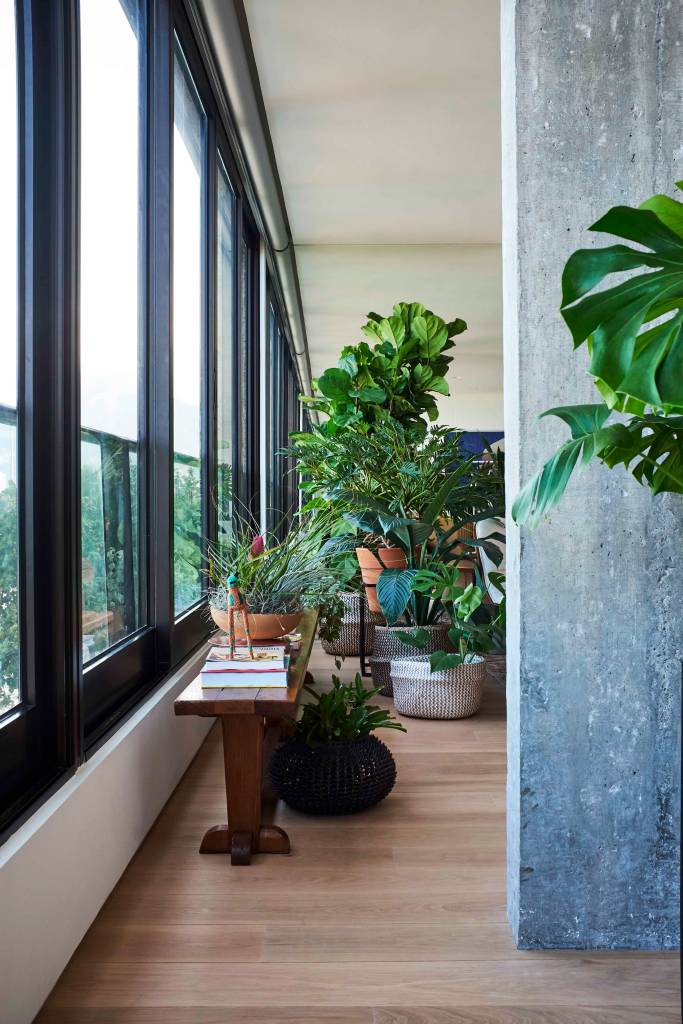 ape-350m-academia-quarto-de-hospedes-escala-arquitetura-03-plantas Sala com piso de madeira e plantas e folhagens.
