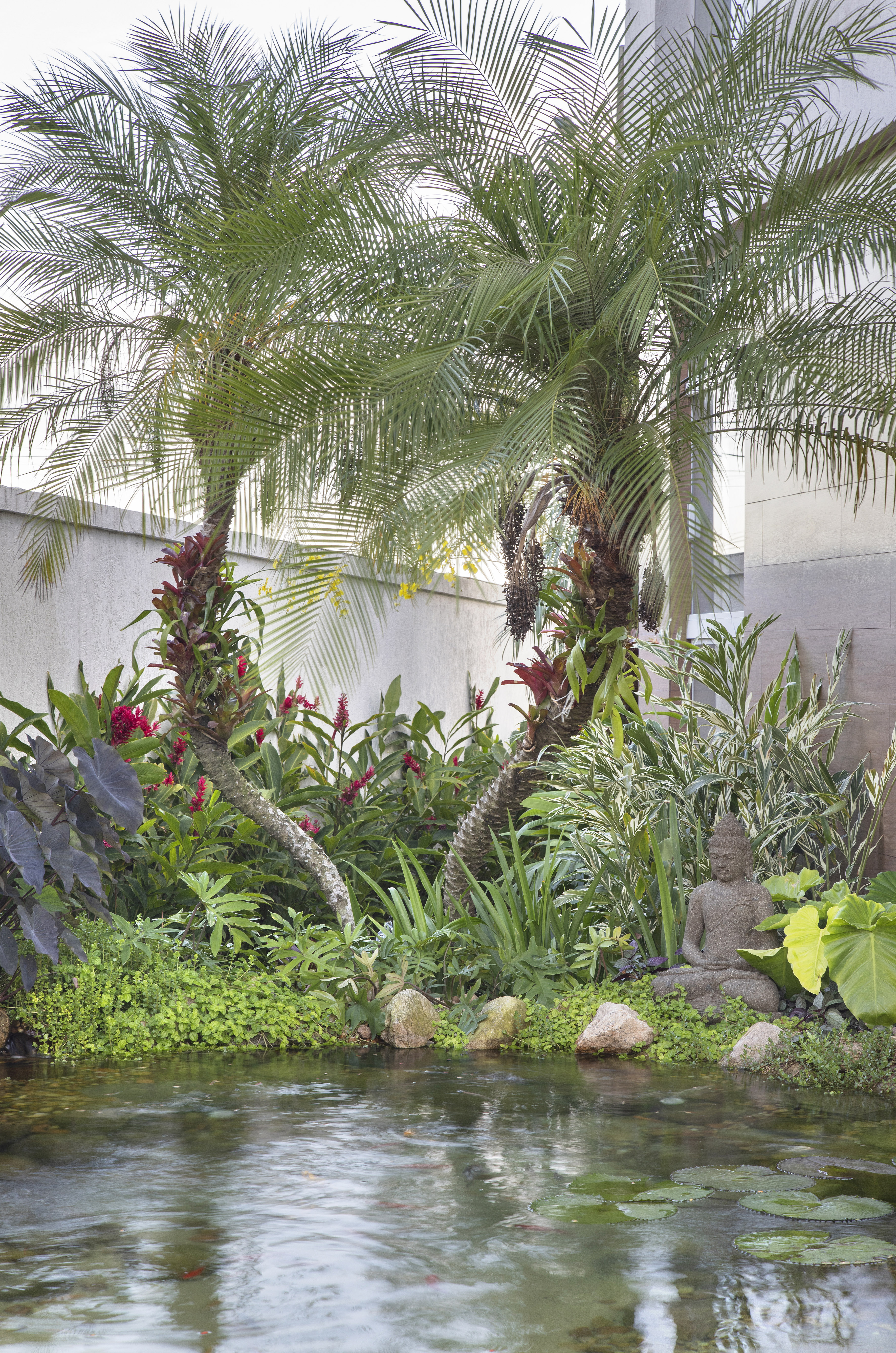 Jardim com lago, palmeiras e folhagens.