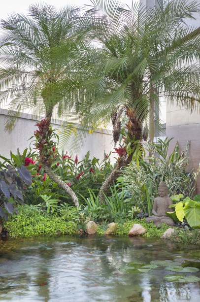 Jardim tropical de 900m² tem lago de peixes, pergolado e horta