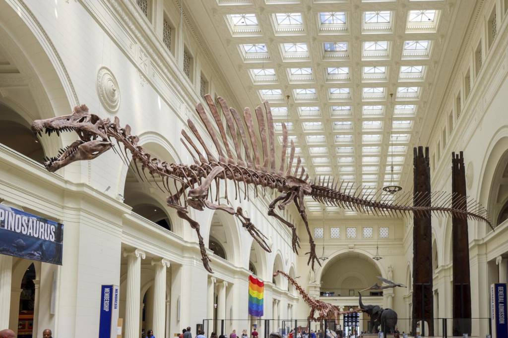 museus-chicago-field-museum Field Museum