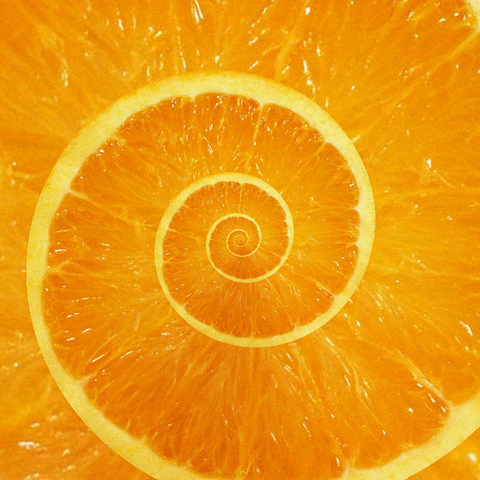 Gif de espiral de laranja