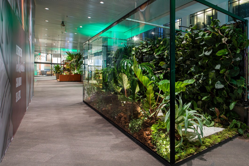 Renata Guastelli e Cintia Senna - Banho de Floresta. O ambiente foi pensado para proporcionar uma experiência imersiva e sensorial. A fim de que o usuário vivencie estar presente em um terrário em escala humana, desconectando do externo e se conectando à natureza através do paisagismo e do microclima presente no espaço. Renata Guastelli e Cintia Senna - Banho de Floresta. O ambiente foi pensado para proporcionar uma experiência imersiva e sensorial. A fim de que o usuário vivencie estar presente em um terrário em escala humana, desconectando do externo e se conectando à natureza através do paisagismo e do microclima presente no espaço.