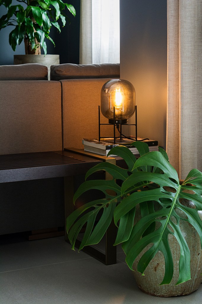 Luminária de mesa com temperatura de cor branco quente ao lado de uma planta da espécie Costela de Adão. Projeto do designer Henrique Freneda.