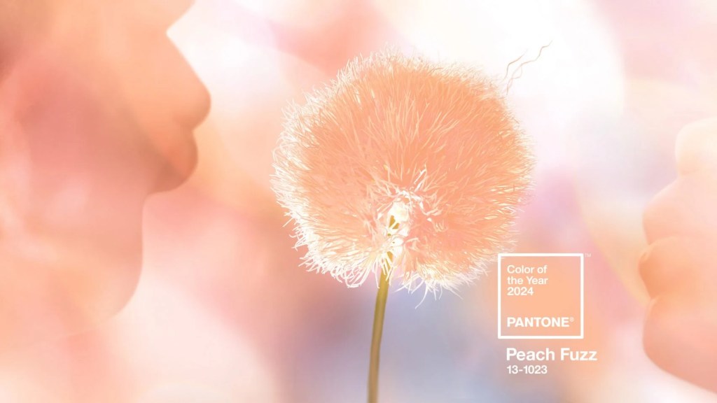 Peach Fuzz é a Cor do Ano da Pantone 2024!