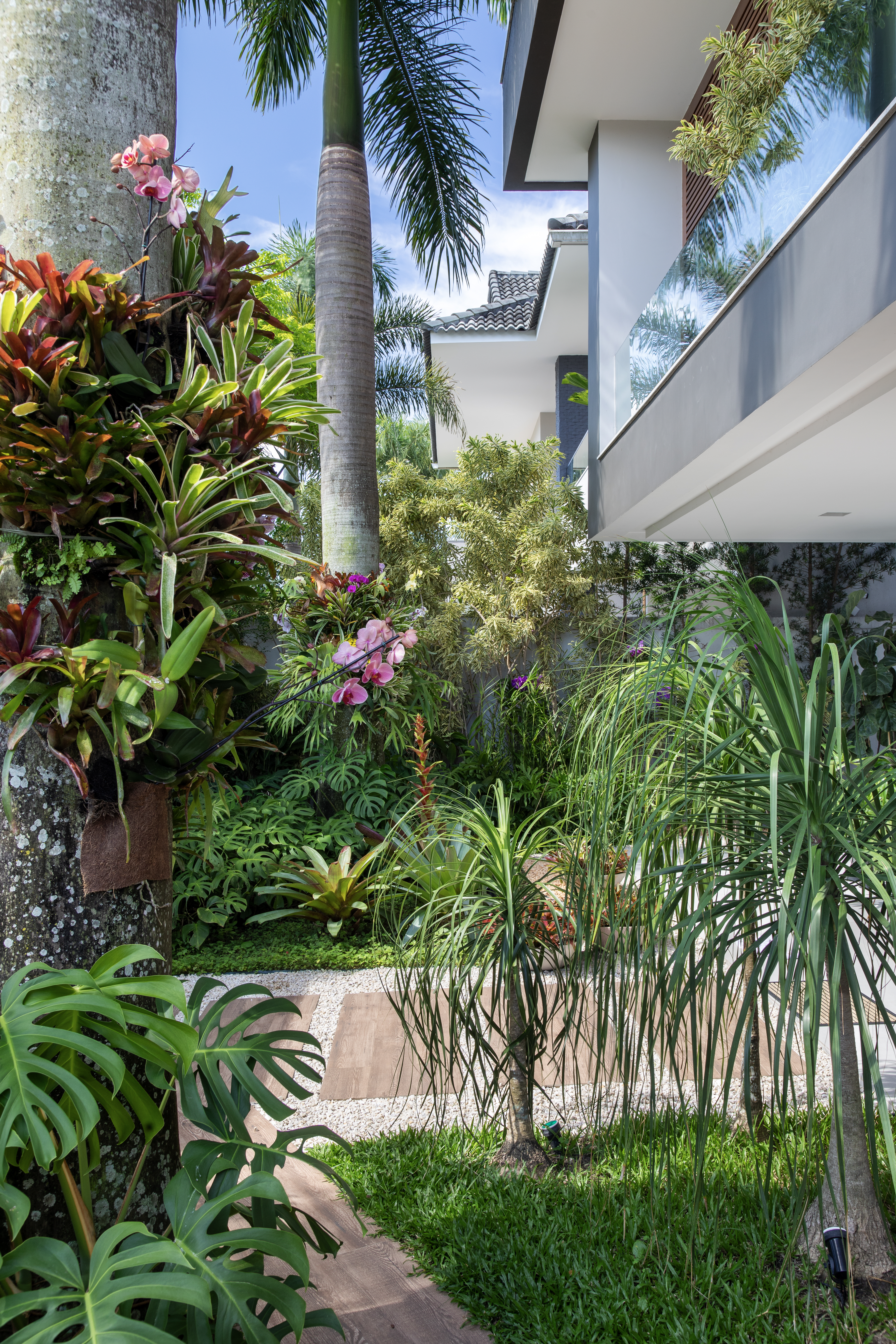 Paisagismo tropical: jardim tem bromélias, palmeiras e jardim vertical. Paisagismo de Horto Girassol. Na foto,