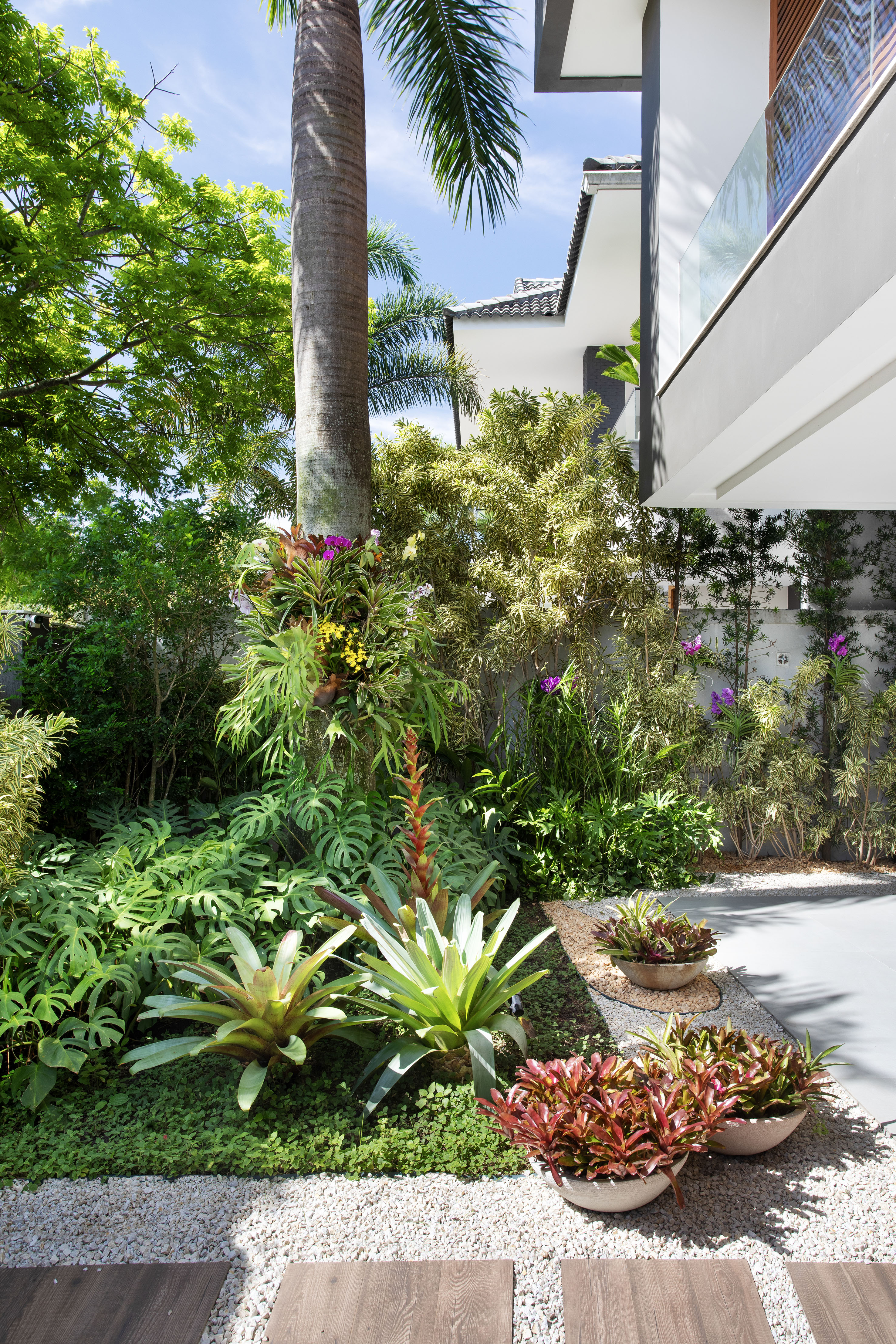 Paisagismo tropical: jardim tem bromélias, palmeiras e jardim vertical. Paisagismo de Horto Girassol. Na foto, jardim, plantas, palmeira, bromélias.