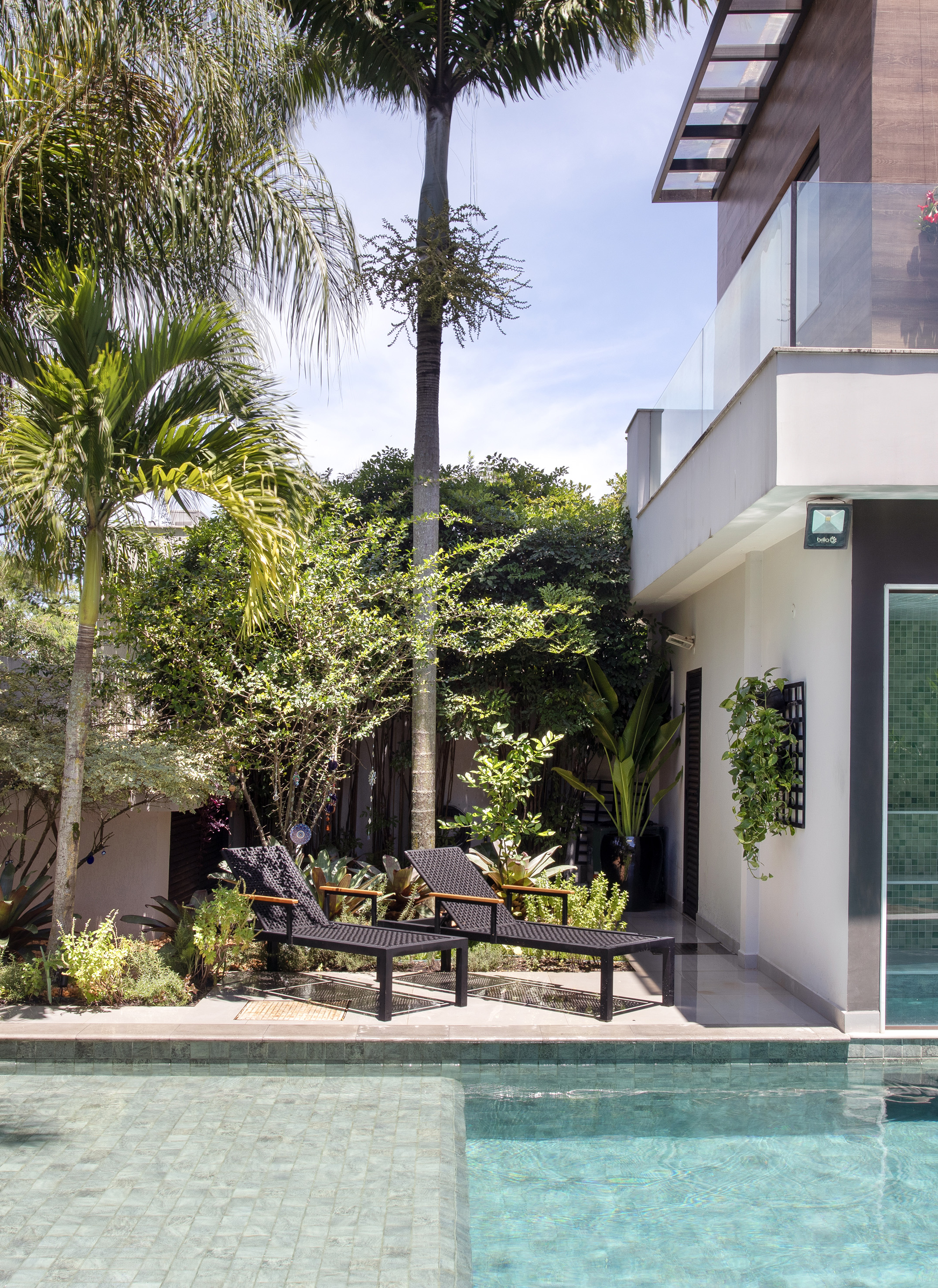 Paisagismo tropical: jardim tem bromélias, palmeiras e jardim vertical. Paisagismo de Horto Girassol. Na foto, jardim, piscina, palmeira.