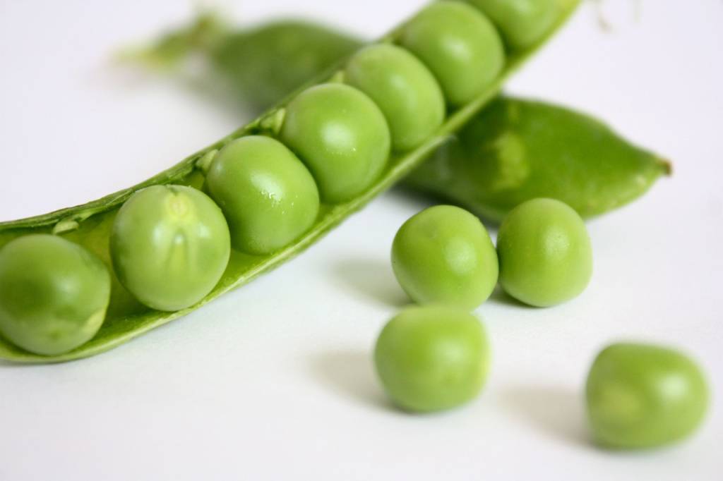 3 opções de leguminosas para plantar em fevereiro. Na foto, ervilha.