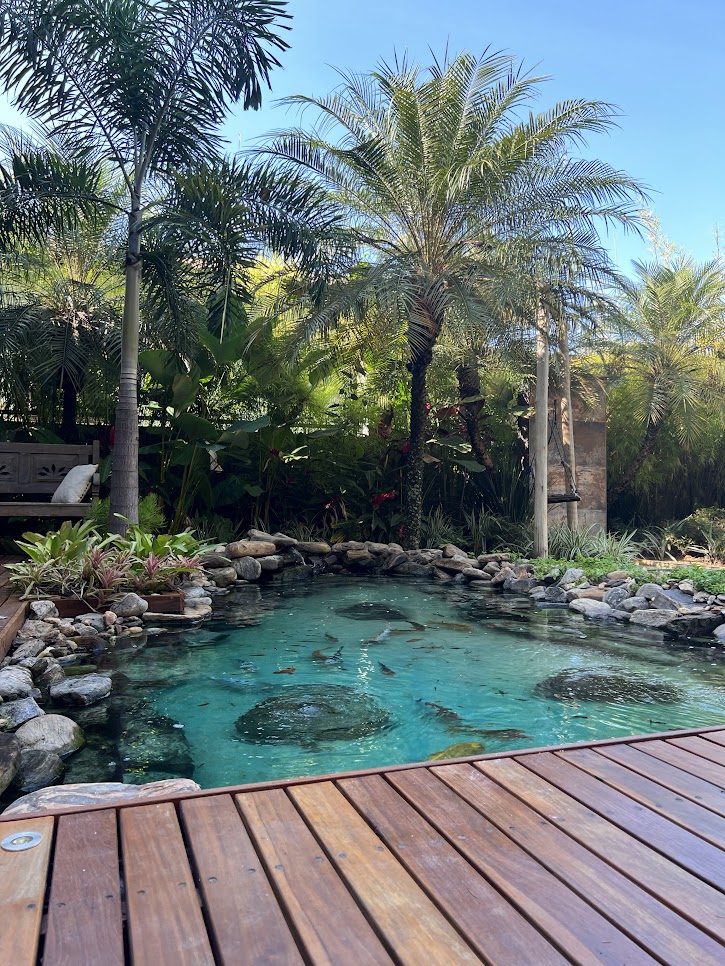 Jardim de 200 m² tem paisagismo tropical e lago que funciona como piscina. Projeto de Júlio Sousa, Na foto, lago natural que funciona como piscina.