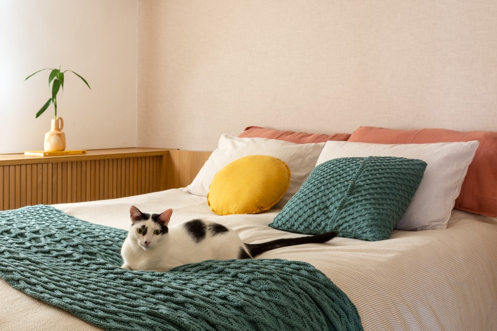 Madeira em tom natural e pintada de branco dão leveza à apê de 117 m². Projeto de Mariana Monnerat e Tainá Binato. Na foto, quarto de casal com gato em cima de manta da cama.