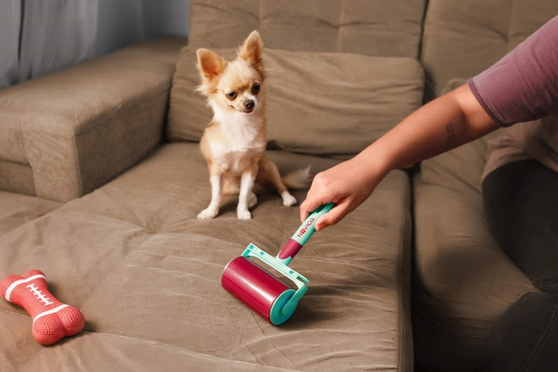 5 dicas de limpeza para quem tem pets em casa