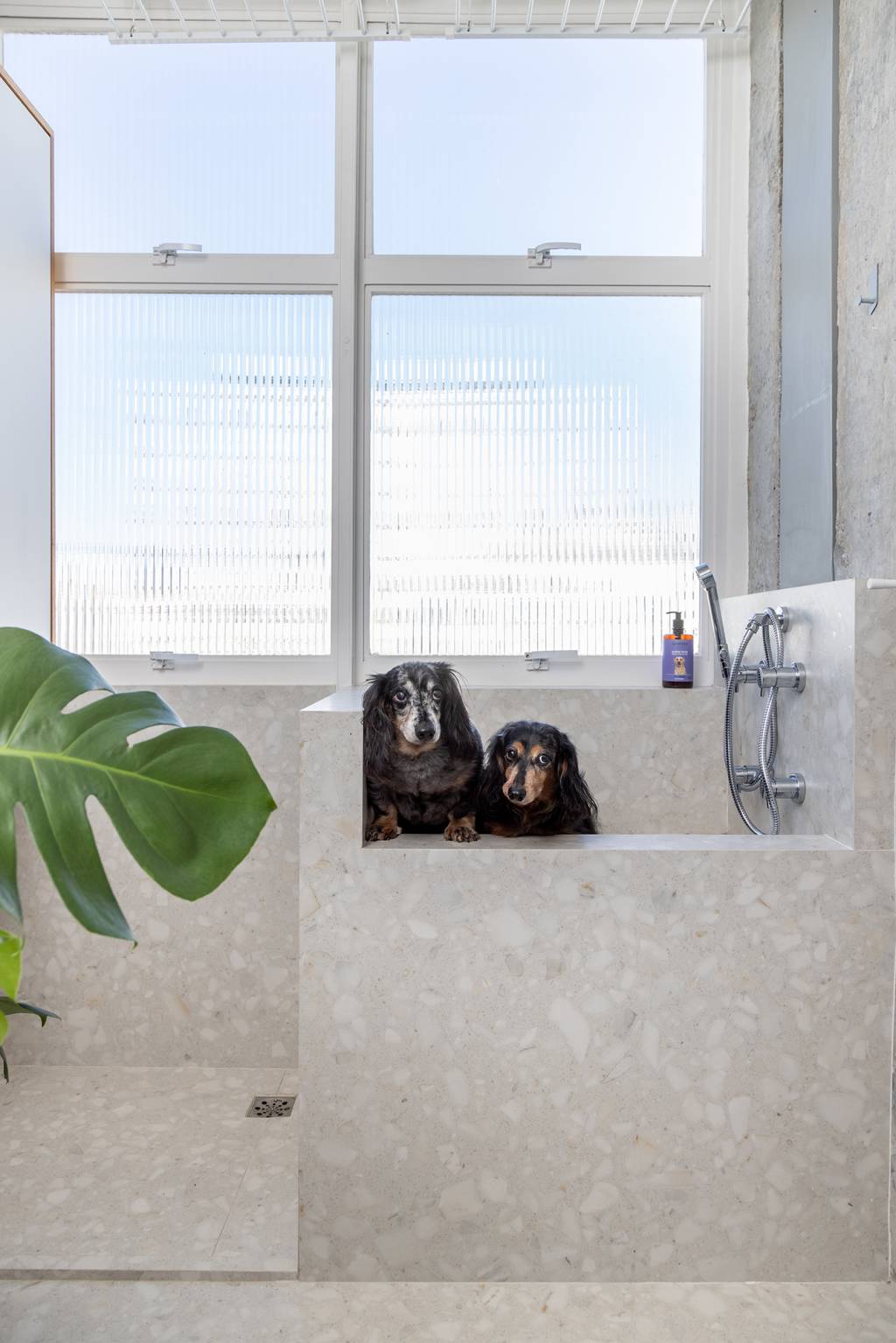 Apê dos anos 1960 é modernizado com dog shower e pilar no meio da sala