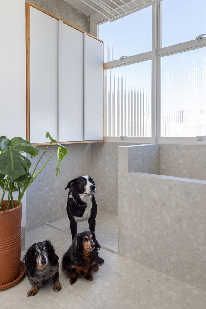 Apê dos anos 1960 é modernizado com dog shower e pilar no meio da sala. Projeto de Casa33 Arquitetura, Na foto, lavanderia com fog shower.