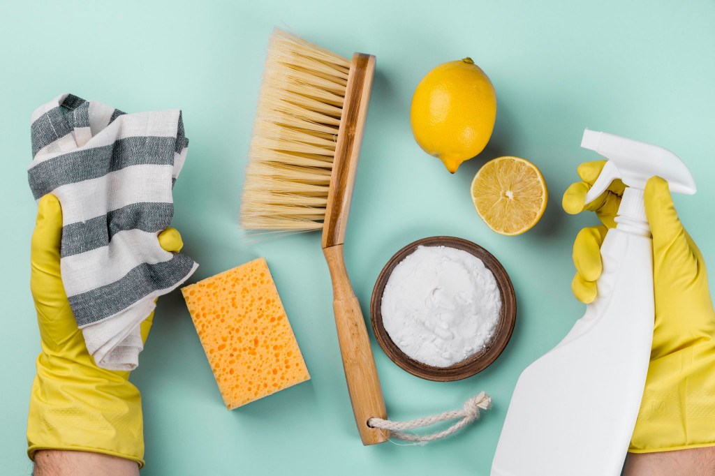 Fato ou fake? Quais receitas caseiras de limpeza realmente funcionam. Na foto, escova, limão, bucha..