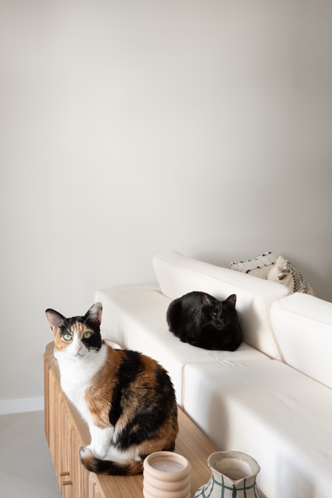 Reforma de apê cria lar prático e contemporâneo para casal e 4 gatinhos. Projeto de Estúdio Maré. Na foto, sala de estar, sofá branco, aparador pequeno atrás do sofá e gatos.